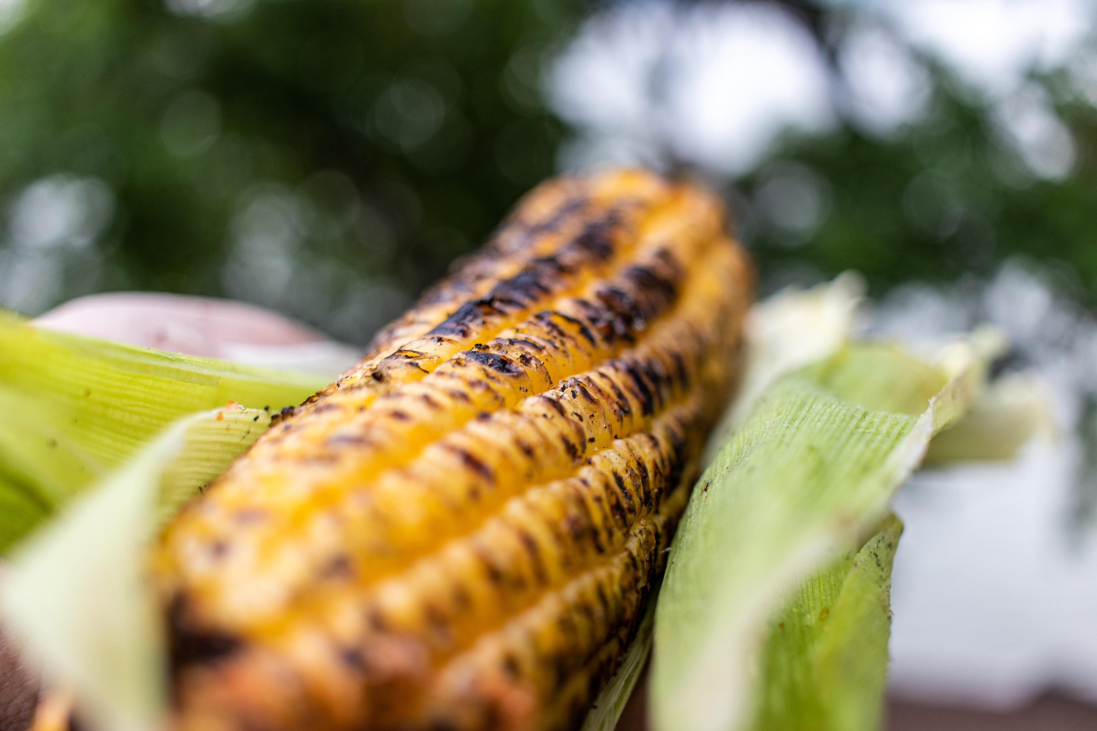 Refreshing Grilled Corn Salad Recipe